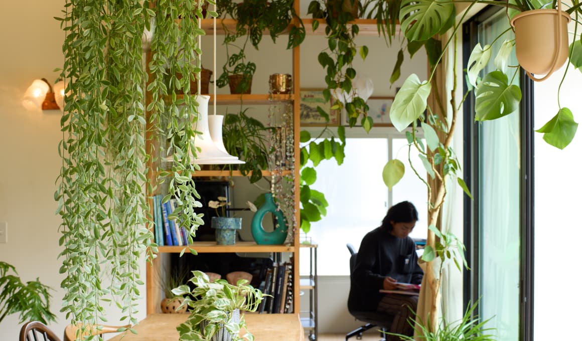 インドアグリーン