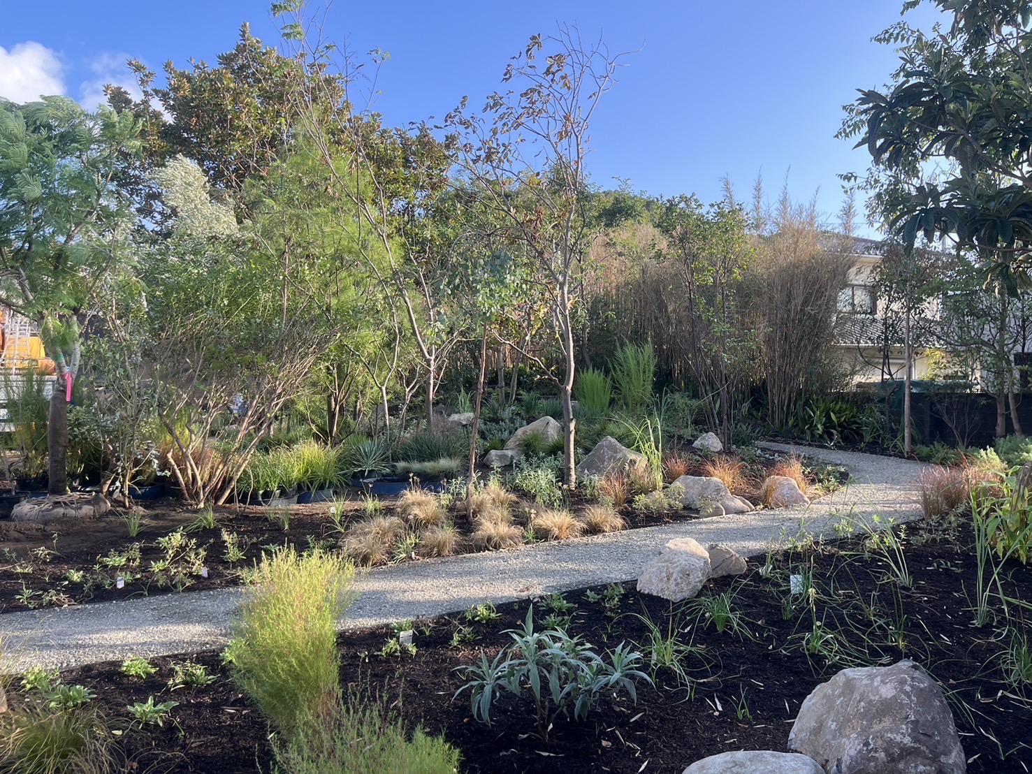 海風と揺れる草花